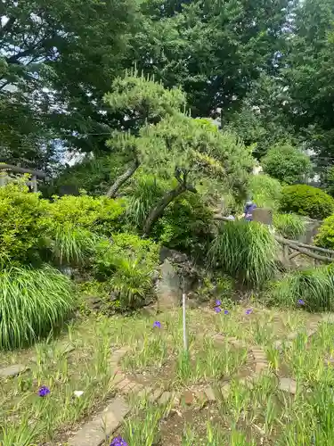 鳩森八幡神社の庭園