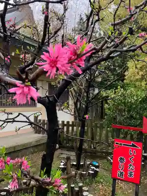 難波大社　生國魂神社(大阪府)