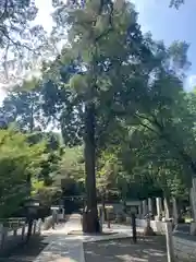 石鎚神社(愛媛県)