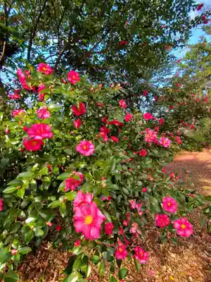 神炊館神社 ⁂奥州須賀川総鎮守⁂(福島県)