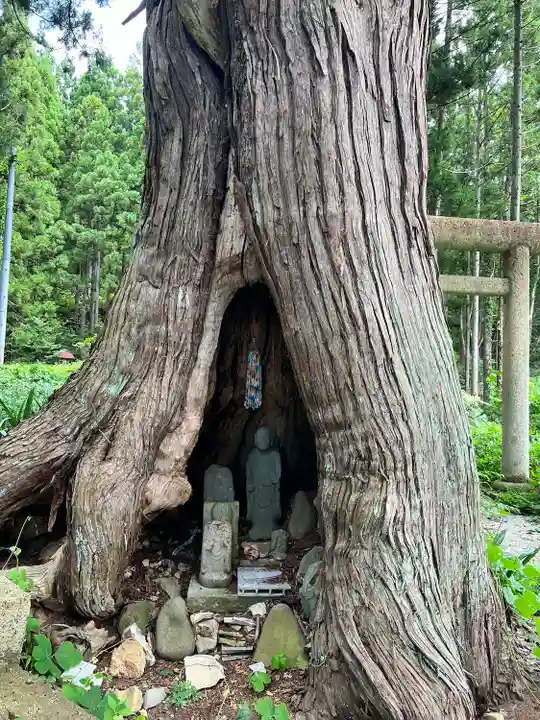 円光寺(山形県)