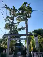 御霊神社(東京都)