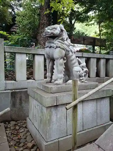 渋谷氷川神社の狛犬