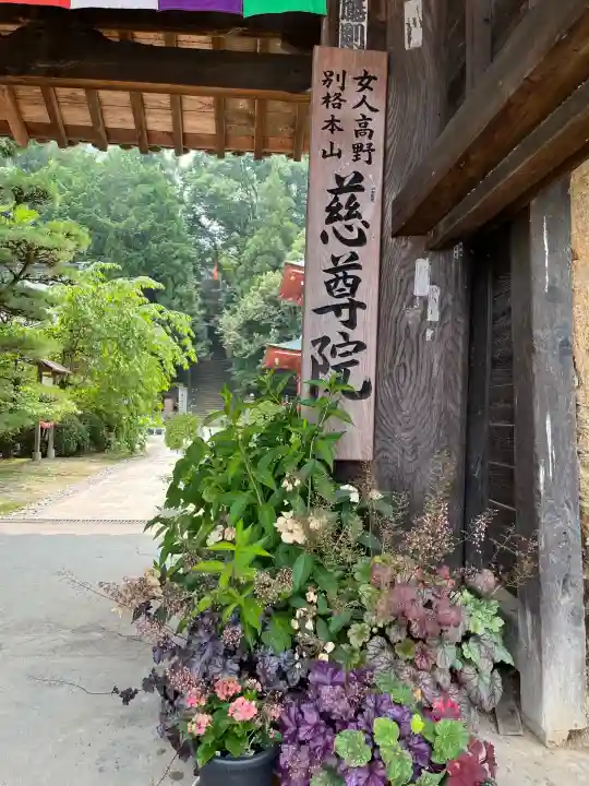 慈尊院(和歌山県)