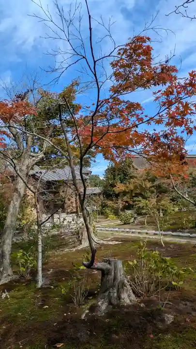 勧修寺(京都府)