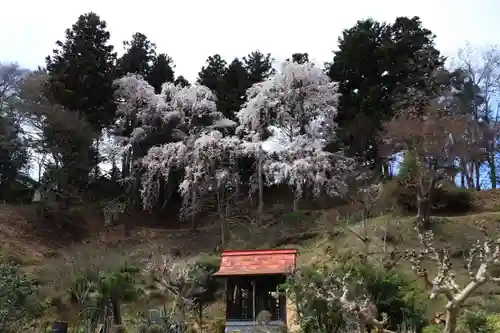 三春大神宮の庭園