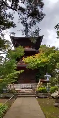 豪徳寺のその他建物