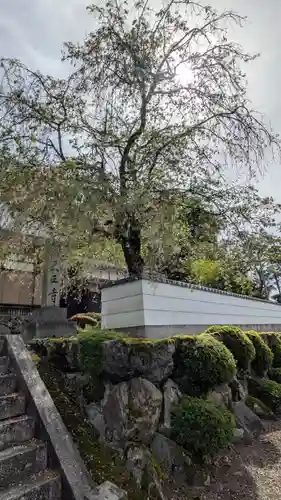 天正寺(滋賀県)