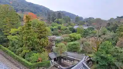 知恩院(京都府)