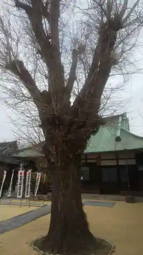 興昌寺(愛知県)