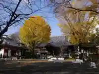 成願寺のその他建物