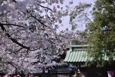 三嶋大社(静岡県)