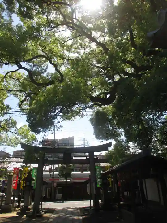 新熊野神社の鳥居