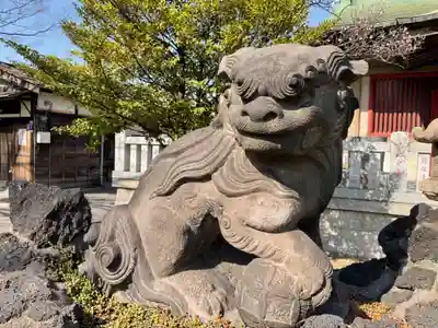 白山神社の狛犬