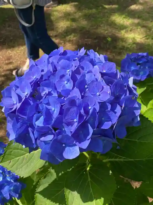 東勝寺宗吾霊堂(千葉県)