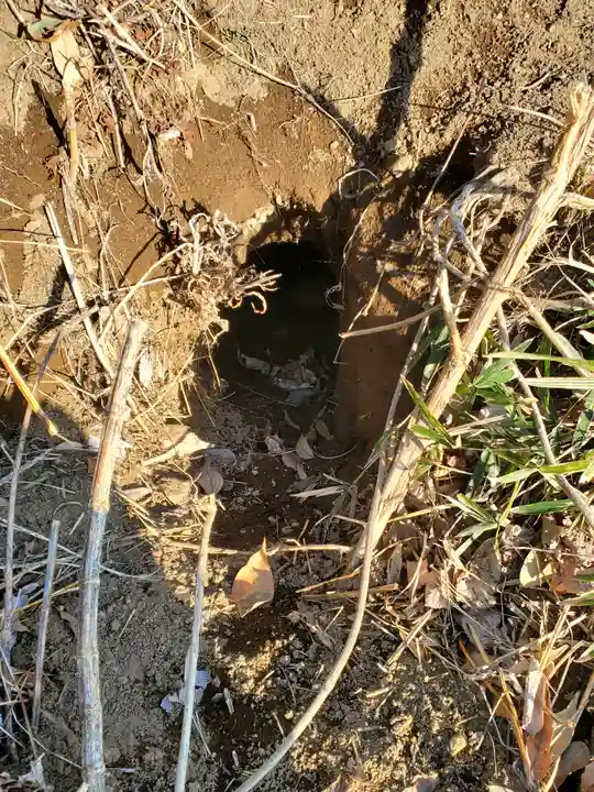 阿夫利神社(藤本観音山古墳)(栃木県)