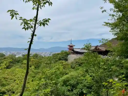 清水寺(京都府)