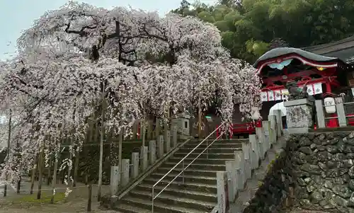 小川諏訪神社(福島県)
