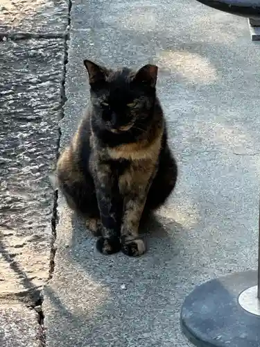 神館神社の動物