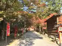 大原野神社の景色