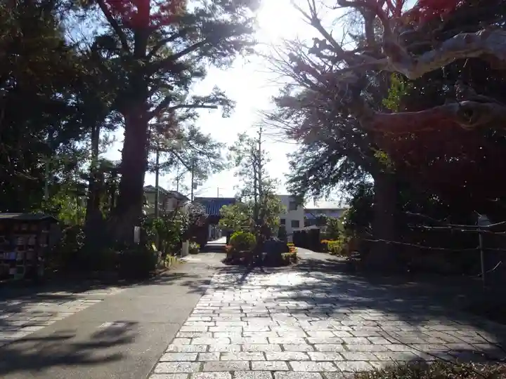 舊城寺(旧城寺)の庭園