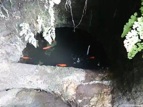 銭洗弁財天宇賀福神社の{uncategorized: "未分類", other: "その他", undefined: "問題あり", building: "その他建物", grave: "お墓", sacred_gate: "鳥居", guardian: "狛犬", statue: "像", buddha: "仏像", history: "歴史", nature: "自然", garden: "庭園", animal: "動物", pagoda: "塔", temizu: "手水舎", mountain_gate: "山門・神門", sanctuary: "本殿・本堂", subordinate: "末社・摂社", art: "芸術", scenery: "景色", jizo: "地蔵", ema: "絵馬", goshuin: "御朱印", omikuji: "おみくじ", items: "授与品その他", amulet: "お守り", goshuincho: "御朱印帳", eats: "食事", festival: "お祭り", votive_dance: "神楽", shichigosan: "七五三参", wedding: "結婚式", experience: "体験その他", initially: "初詣", around: "周辺", anti_infection: "感染症対策"}