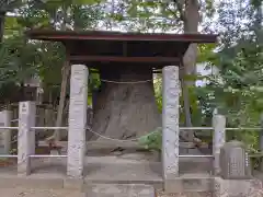 丸子山王日枝神社(神奈川県)