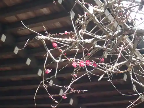 安國論寺（安国論寺）(神奈川県)