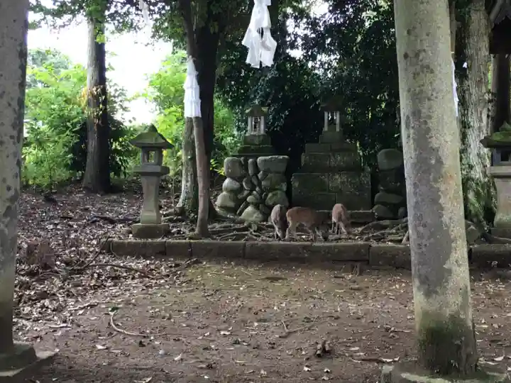 賀茂神社の動物