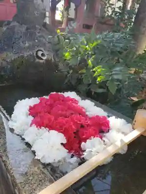 本郷氷川神社(東京都)