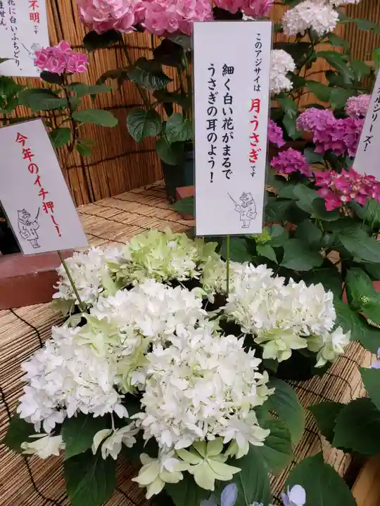 十番稲荷神社のその他建物