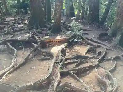 鞍馬寺奥の院 魔王殿(京都府)