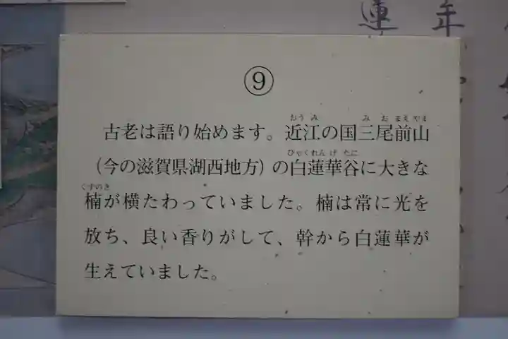 長谷寺(奈良県)