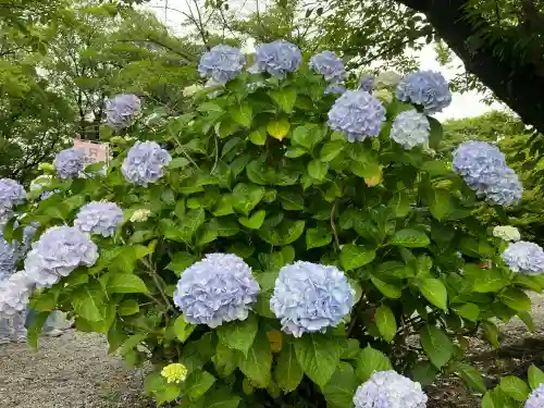 御裳神社(愛知県)