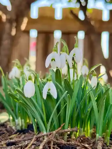 七重浜海津見神社の{uncategorized: "未分類", other: "その他", undefined: "問題あり", building: "その他建物", grave: "お墓", sacred_gate: "鳥居", guardian: "狛犬", statue: "像", buddha: "仏像", history: "歴史", nature: "自然", garden: "庭園", animal: "動物", pagoda: "塔", temizu: "手水舎", mountain_gate: "山門・神門", sanctuary: "本殿・本堂", subordinate: "末社・摂社", art: "芸術", scenery: "景色", jizo: "地蔵", ema: "絵馬", goshuin: "御朱印", omikuji: "おみくじ", items: "授与品その他", amulet: "お守り", goshuincho: "御朱印帳", eats: "食事", festival: "お祭り", votive_dance: "神楽", shichigosan: "七五三参", wedding: "結婚式", experience: "体験その他", initially: "初詣", around: "周辺", anti_infection: "感染症対策"}