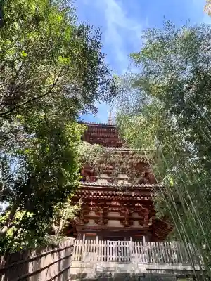 當麻寺の{uncategorized: "未分類", other: "その他", undefined: "問題あり", building: "その他建物", grave: "お墓", sacred_gate: "鳥居", guardian: "狛犬", statue: "像", buddha: "仏像", history: "歴史", nature: "自然", garden: "庭園", animal: "動物", pagoda: "塔", temizu: "手水舎", mountain_gate: "山門・神門", sanctuary: "本殿・本堂", subordinate: "末社・摂社", art: "芸術", scenery: "景色", jizo: "地蔵", ema: "絵馬", goshuin: "御朱印", omikuji: "おみくじ", items: "授与品その他", amulet: "お守り", goshuincho: "御朱印帳", eats: "食事", festival: "お祭り", votive_dance: "神楽", shichigosan: "七五三参", wedding: "結婚式", experience: "体験その他", initially: "初詣", around: "周辺", anti_infection: "感染症対策"}