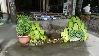 岩本寺(高知県)