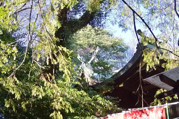 大宮八幡宮(東京都)