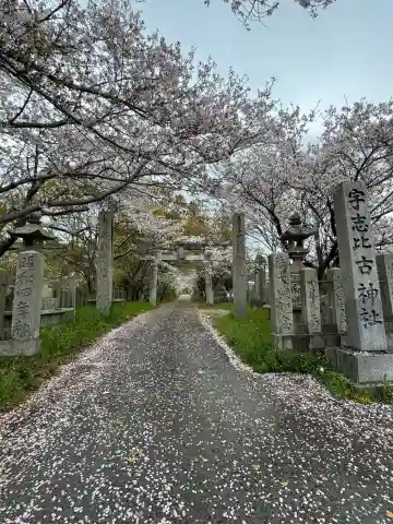 宇志比古神社の{uncategorized: "未分類", other: "その他", undefined: "問題あり", building: "その他建物", grave: "お墓", sacred_gate: "鳥居", guardian: "狛犬", statue: "像", buddha: "仏像", history: "歴史", nature: "自然", garden: "庭園", animal: "動物", pagoda: "塔", temizu: "手水舎", mountain_gate: "山門・神門", sanctuary: "本殿・本堂", subordinate: "末社・摂社", art: "芸術", scenery: "景色", jizo: "地蔵", ema: "絵馬", goshuin: "御朱印", omikuji: "おみくじ", items: "授与品その他", amulet: "お守り", goshuincho: "御朱印帳", eats: "食事", festival: "お祭り", votive_dance: "神楽", shichigosan: "七五三参", wedding: "結婚式", experience: "体験その他", initially: "初詣", around: "周辺", anti_infection: "感染症対策"}