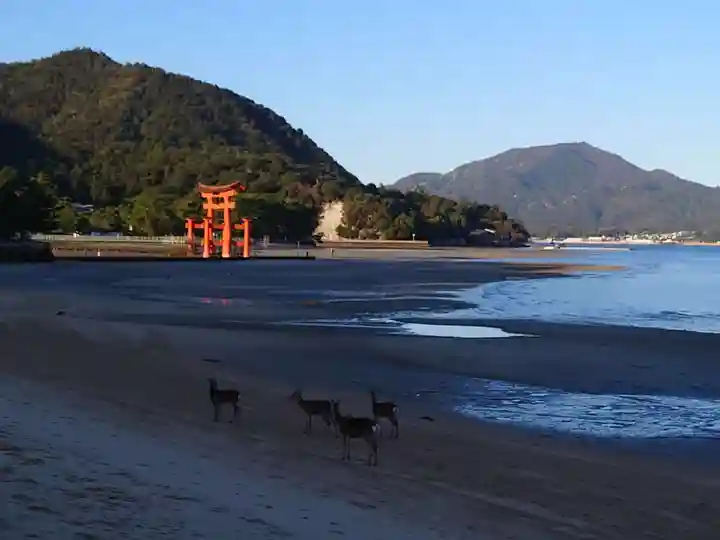 厳島神社の鳥居