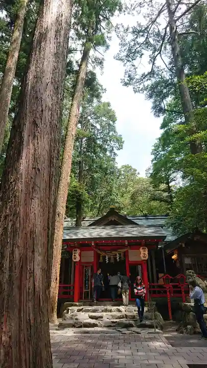 椿大神社の本殿・本堂