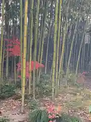 最勝寺の庭園