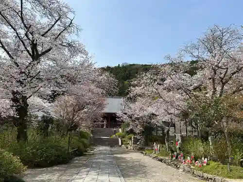 矢田寺(奈良県)