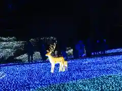 東大寺の体験その他