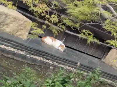 西円寺(東京都)