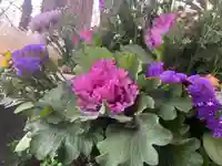 彌彦神社 (伊夜日子神社)の手水舎