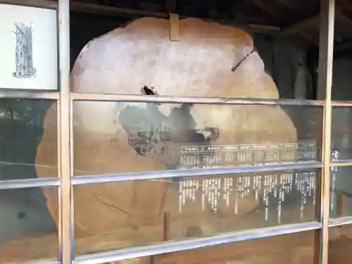 門戸厄神東光寺の自然