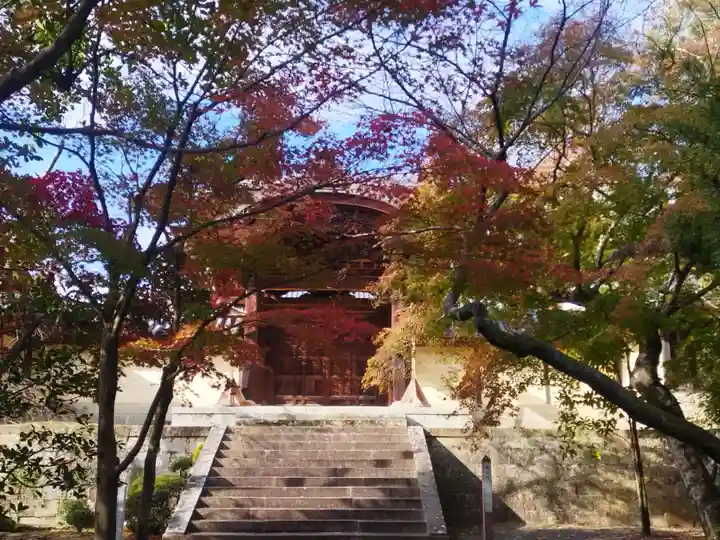 光明寺(粟生光明寺)(京都府)