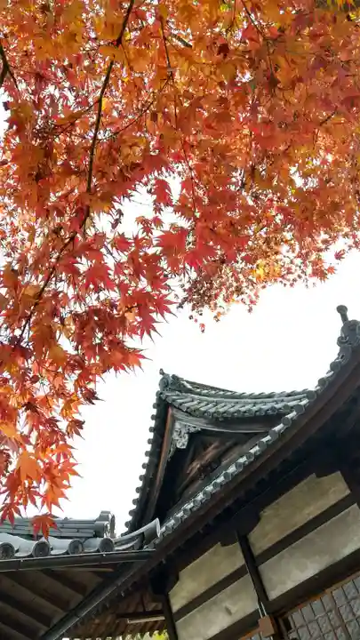 今村宮の本殿・本堂