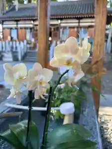 阿保神社(大阪府)(2025年09月03日(水) 12時01分19秒投稿)